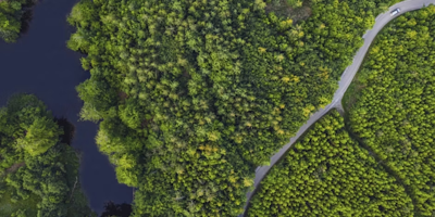 Road cutting through a forest, with a river to the left